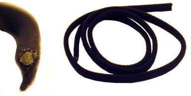 Kattoluukun reunuslista Volvo 140, 164, 240, 260 (takana)